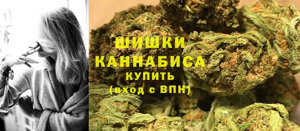 бошки Бородино