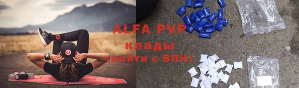 бошки Бородино