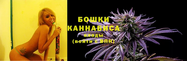 бошки Бородино