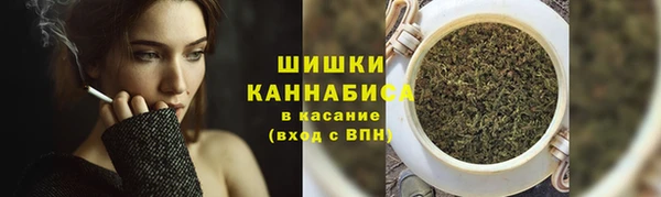 сатива Бронницы