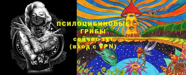 бошки Бородино