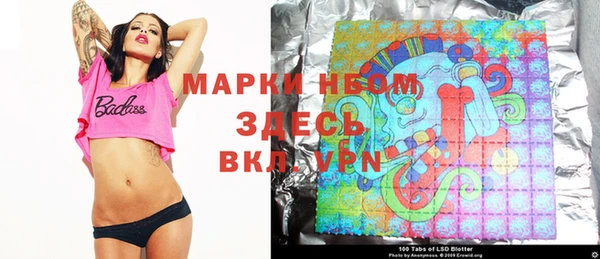сатива Бронницы