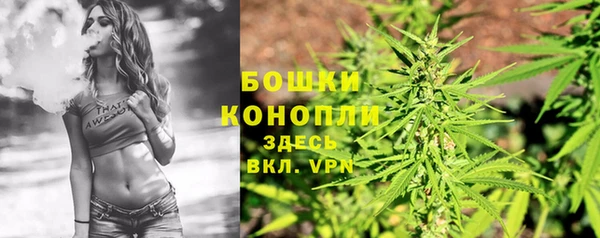 сатива Бронницы