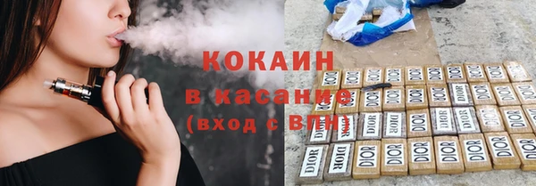 бошки Бородино